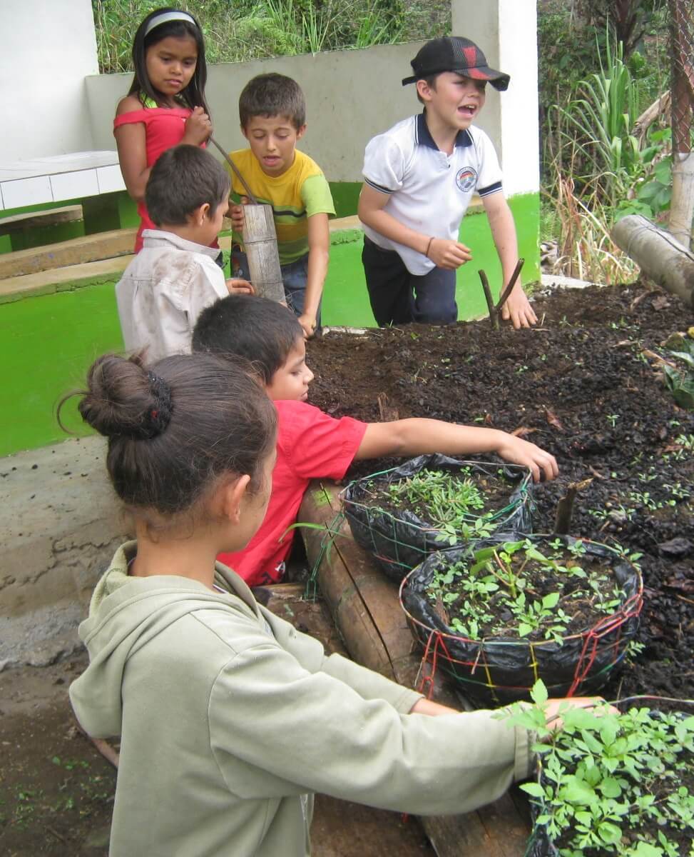 Niños en la huerta