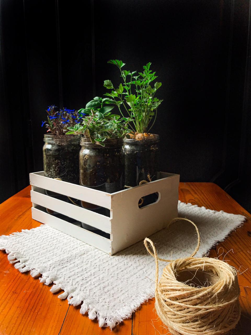 imagen de huerta de interior