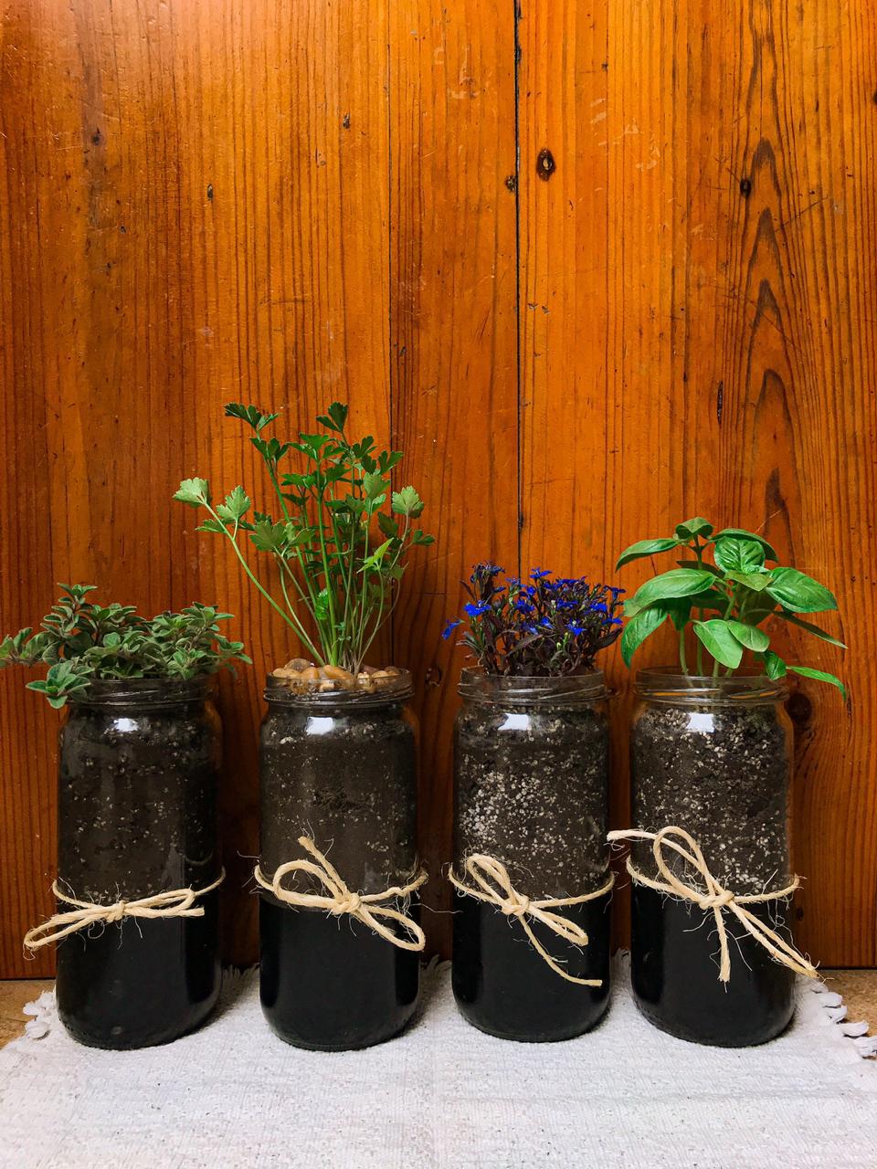 imagen de huerta de interior