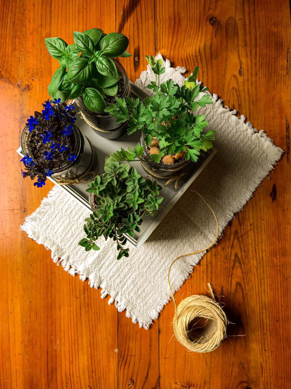 imagen de huerta de interior