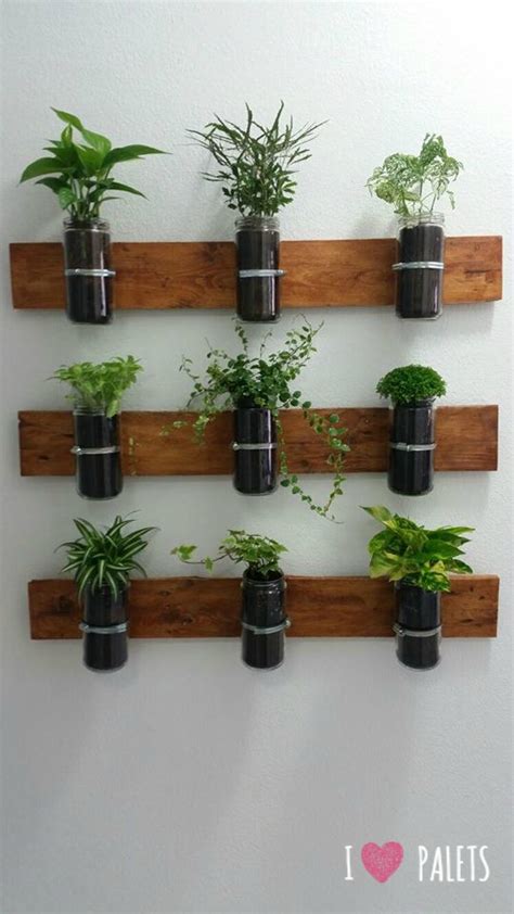 imagen de huerta de interior