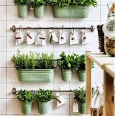 imagen de huerta de interior