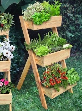 imagen de huerta en casa