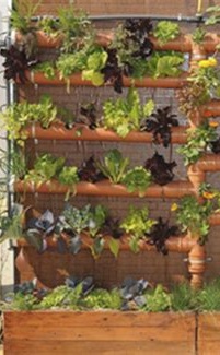 imagen de huerta en casa