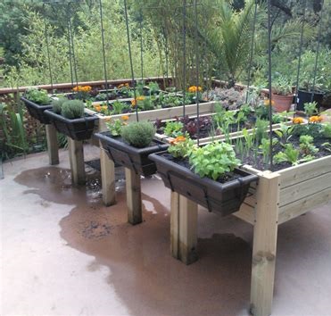 imagen de huerta en casa